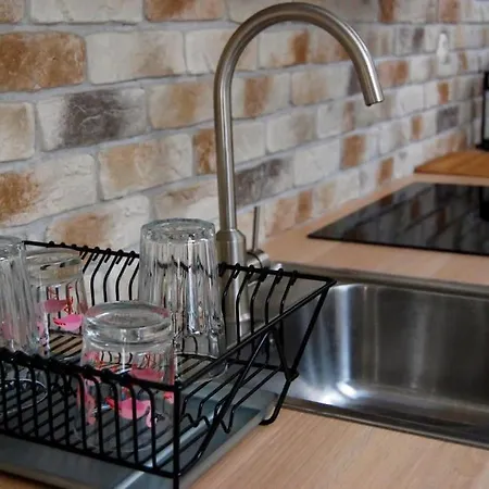 דירה In The Heart Of קרקוב